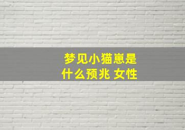 梦见小猫崽是什么预兆 女性